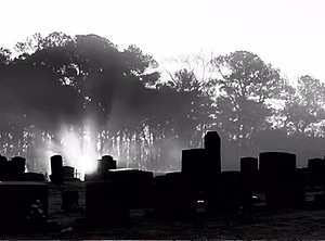 Great Outdoors Monochrome