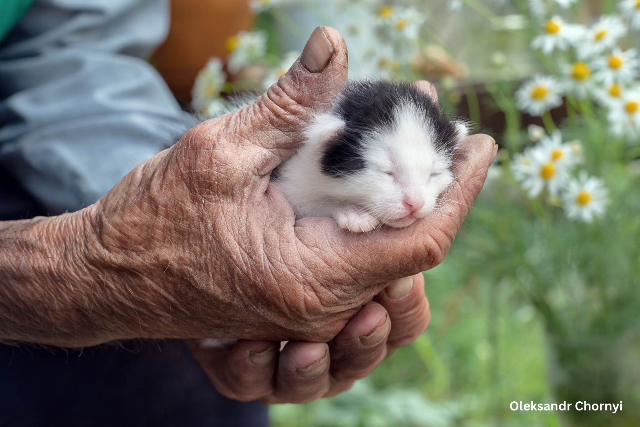 Select photographers contest landscape finalists - 8.png